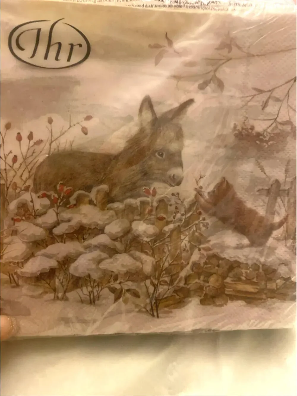 IHR Winter Hello donkey Christmas Holiday Napkins Cocktail 5